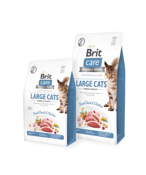 Brit Care Cat Large cats Power&Vitality 7 kg
