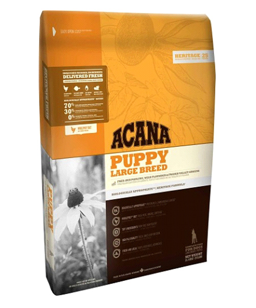 ACANA Puppy Large Breed
